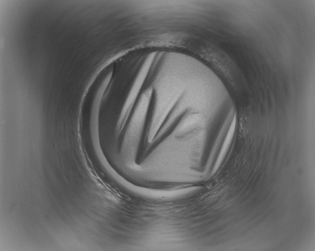 X0000071910724200608041408