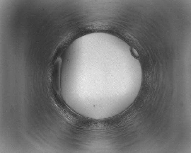 X0000071910735200608041408