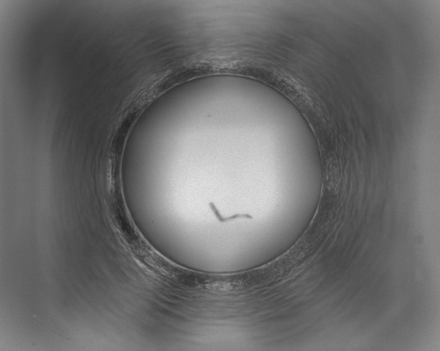 X0000071910740200608041408