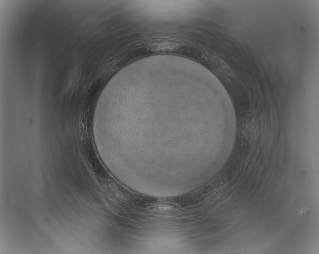 X0000071910743200608041408