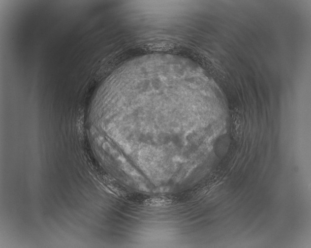 X0000071910745200608041408