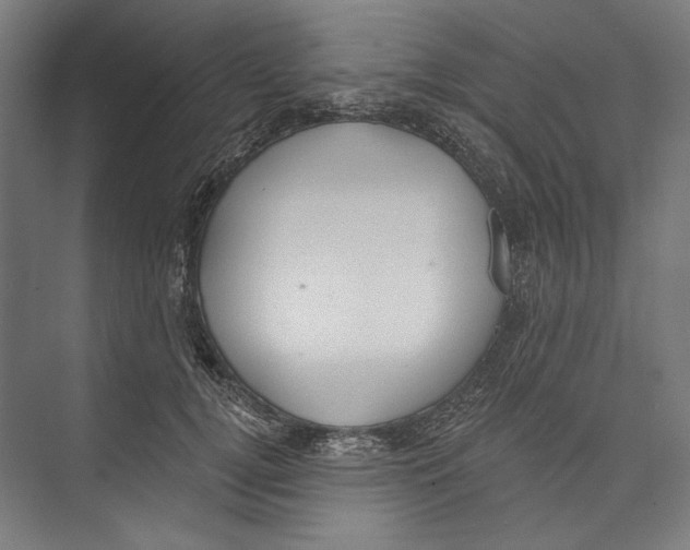 X0000071910752200608041408