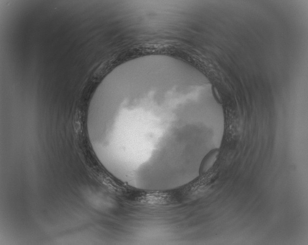 X0000071910758200608041408