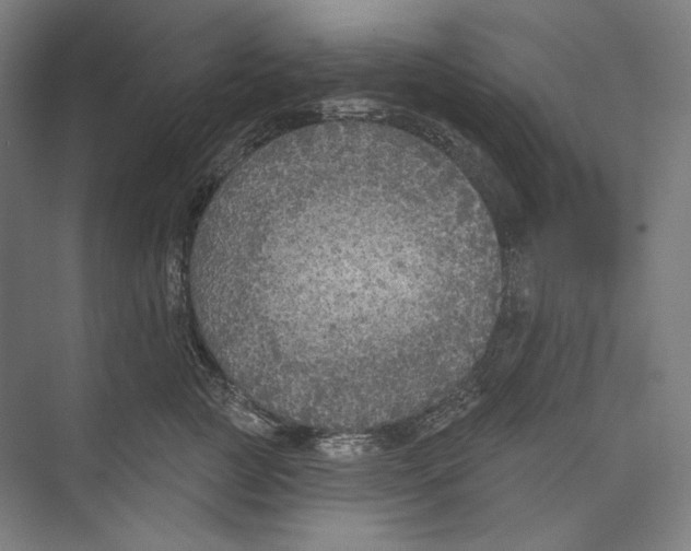 X0000071910761200608041408