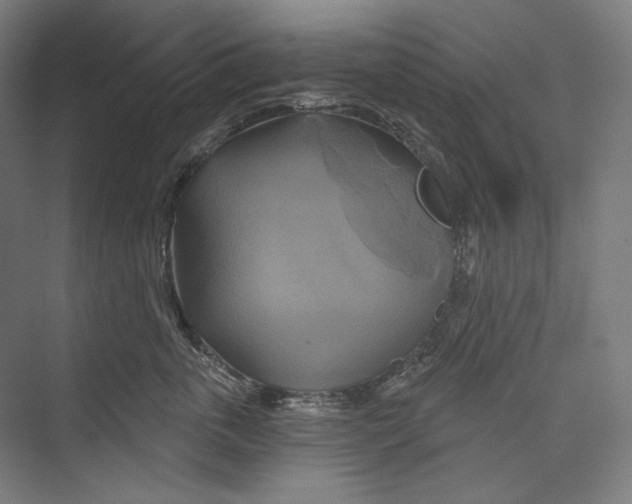 X0000071910763200608041409