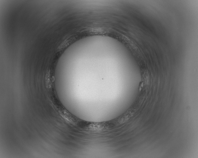 X0000071910764200608041409