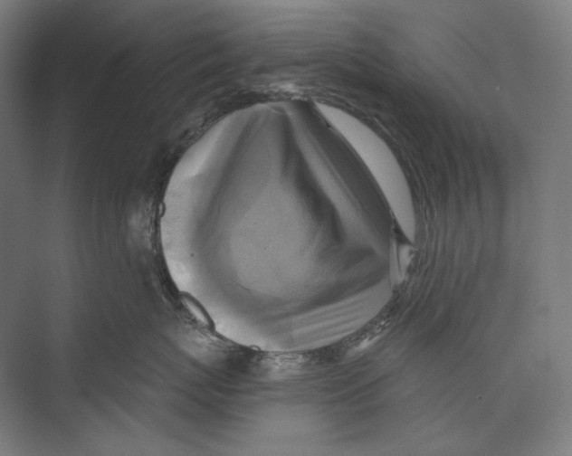 X0000071910767200608041409