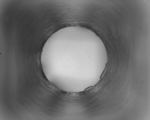 X0000071910768200608041409