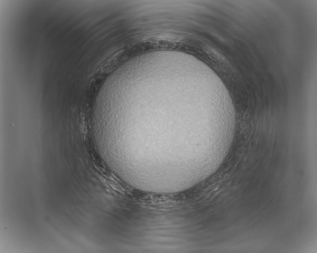 X0000071910774200608041408