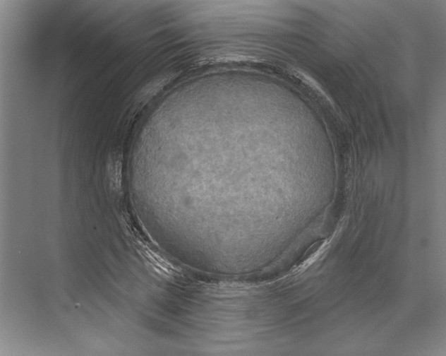 X0000071910777200608041408