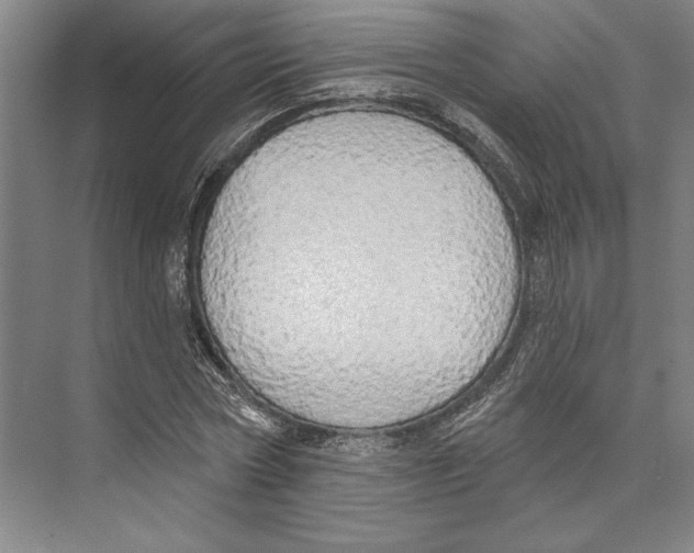 X0000071910778200608041408