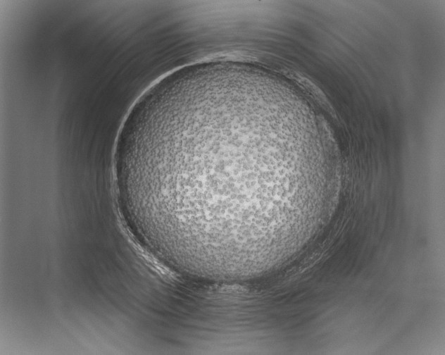 X0000071910784200608041408