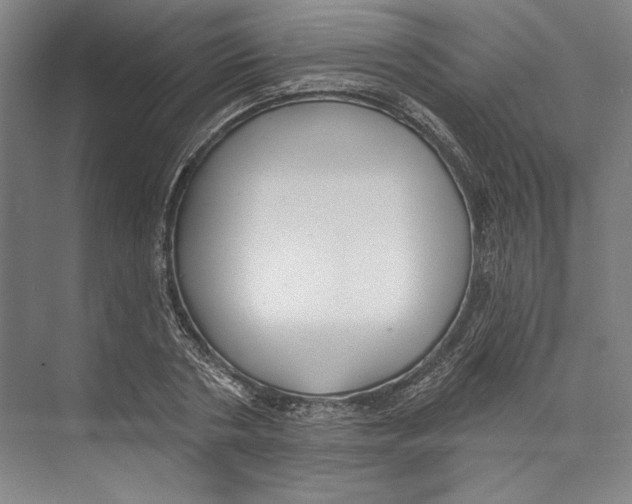 X0000071910786200608041408
