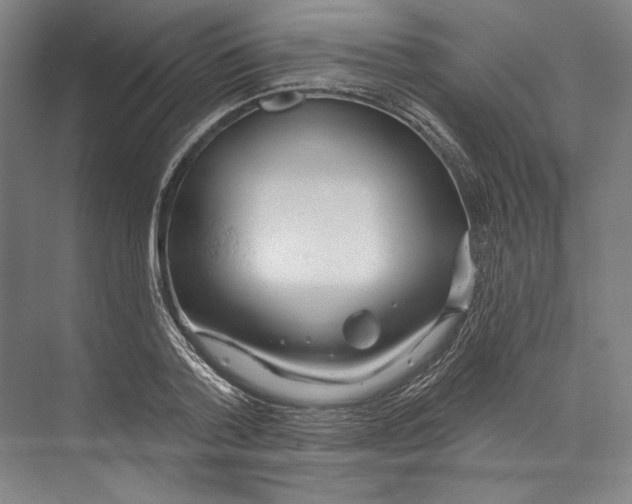 X0000071910788200608041407