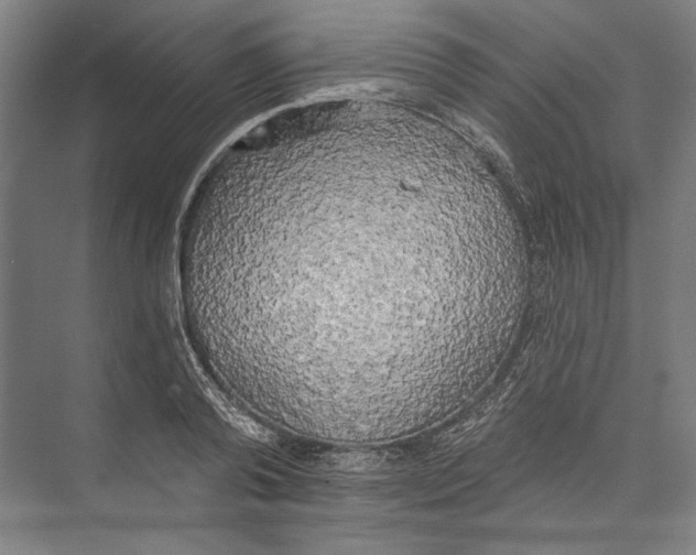 X0000071910792200608041407