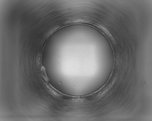X0000071910793200608041407