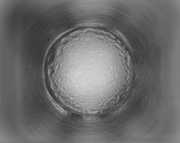 X0000071910795200608041407