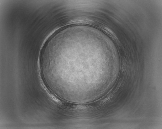 X0000071910796200608041407