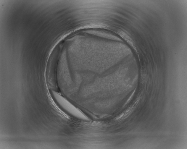 X0000071910797200608041407