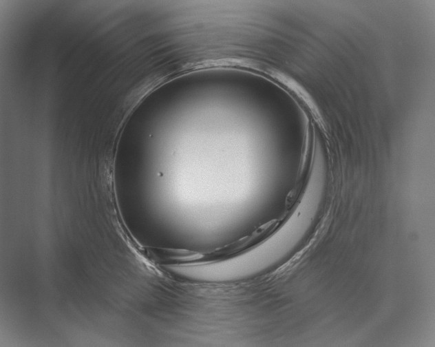 X0000071910809200608041407
