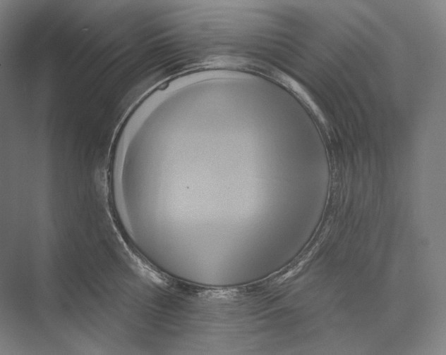 X0000071910810200608041407