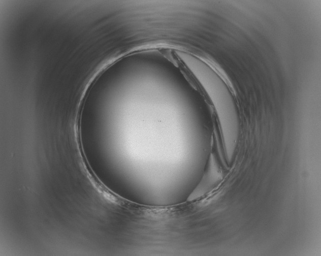 X0000071910813200608041407