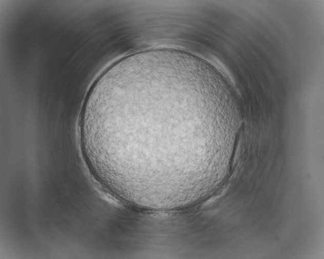 X0000071910814200608041407