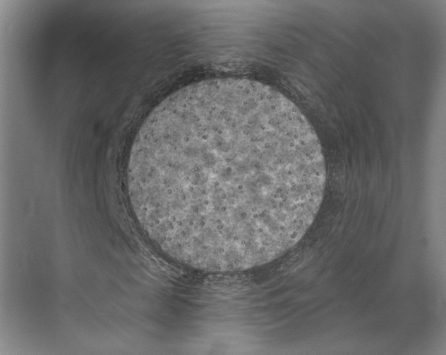 X0000071910817200608041406