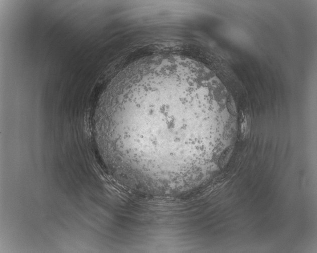 X0000071910819200608041406