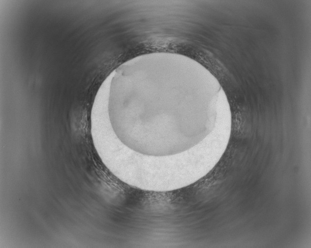 X0000071910820200608041406