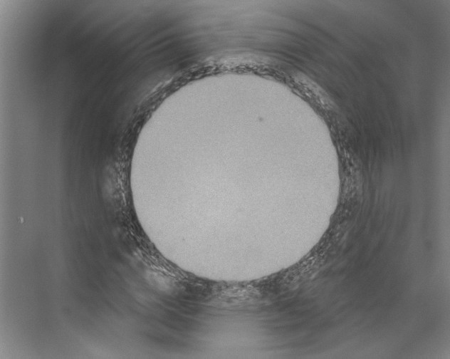 X0000071910824200608041406