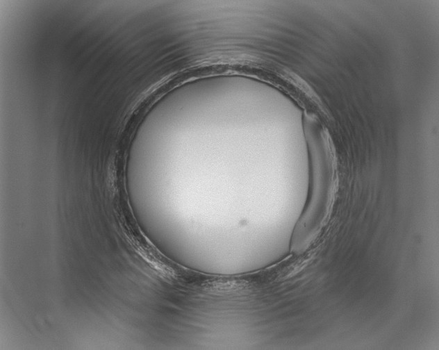X0000071910826200608041406