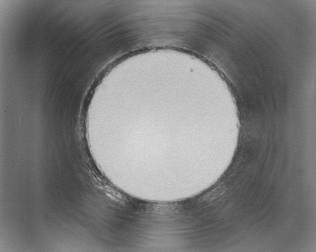 X0000071910832200608041406