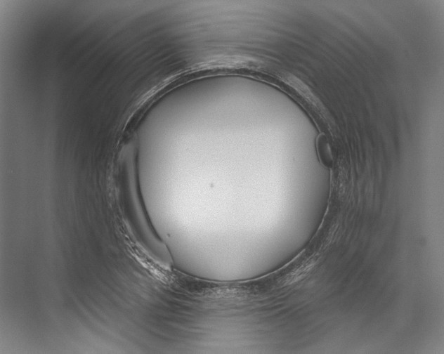 X0000071910834200608041406