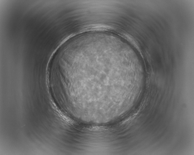 X0000071910835200608041407