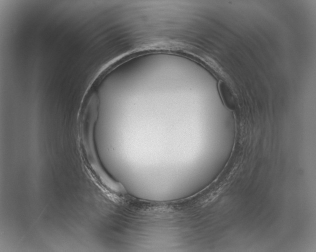 X0000071910838200608041407