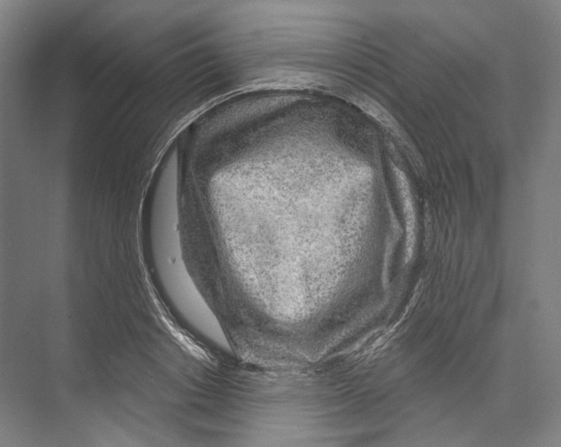 X0000071910842200608041407