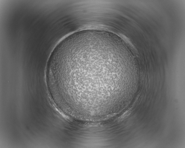 X0000071910846200608041407
