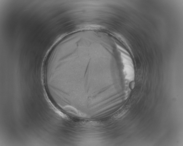 X0000071910851200608041407