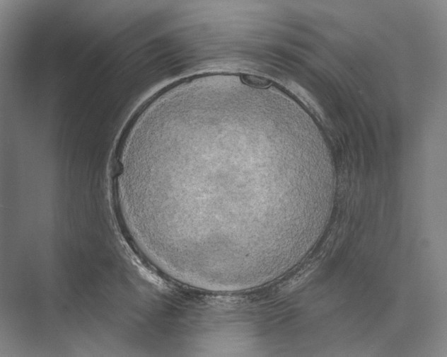 X0000071910854200608041407