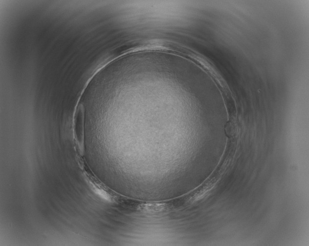X0000071910858200608041407