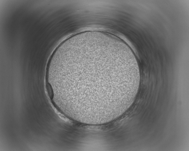 X0000071910861200608041407