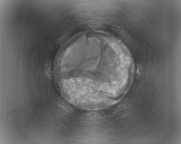 X0000071910867200608041406