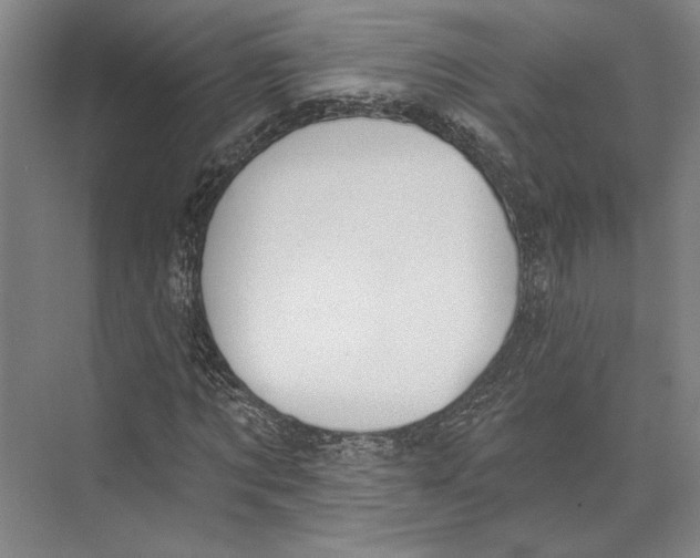 X0000071910869200608041406