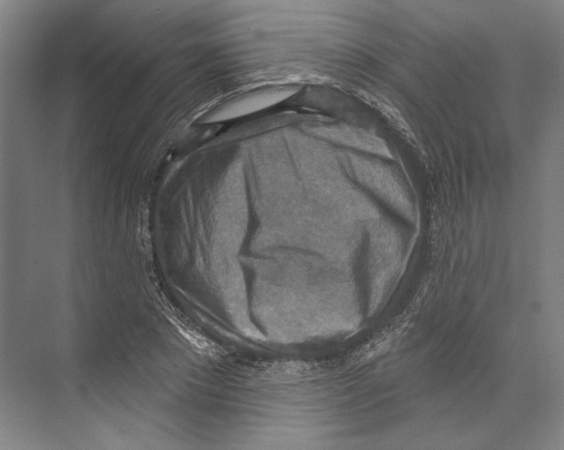 X0000071910881200608041406