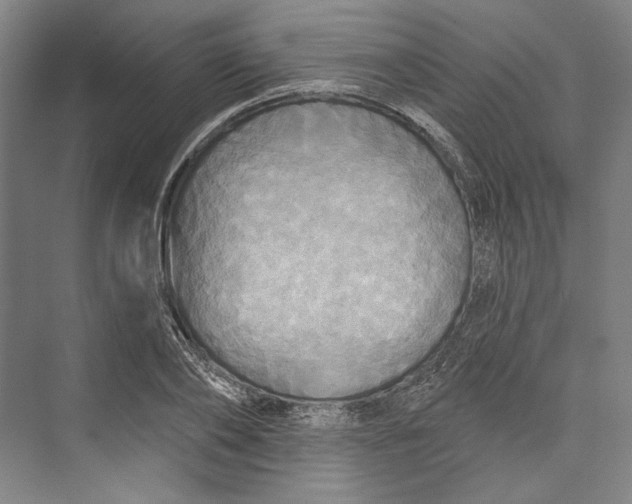 X0000071910886200608041406