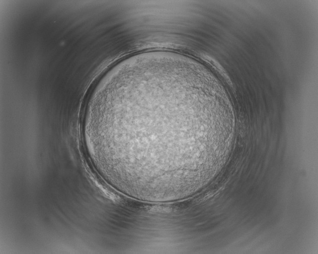 X0000071910890200608041406