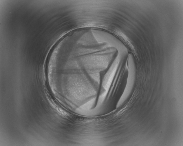 X0000071910892200608041406