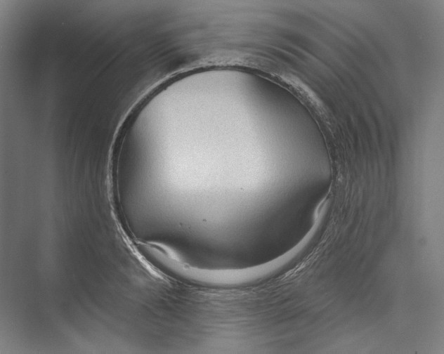 X0000071910894200608041406