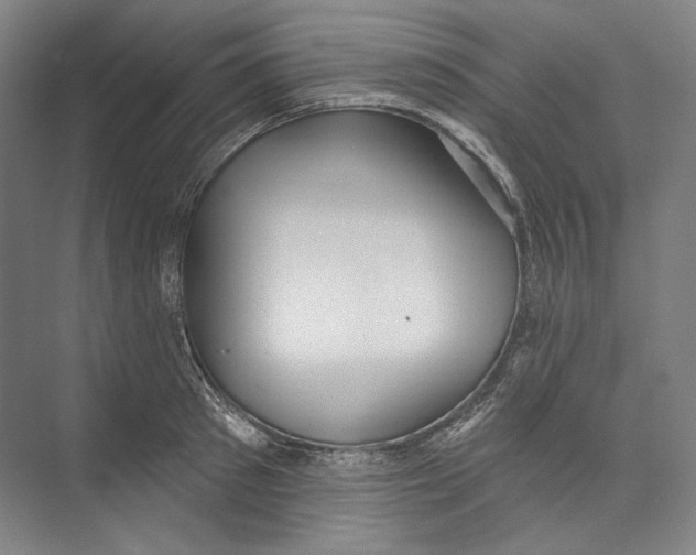 X0000071910897200608041406